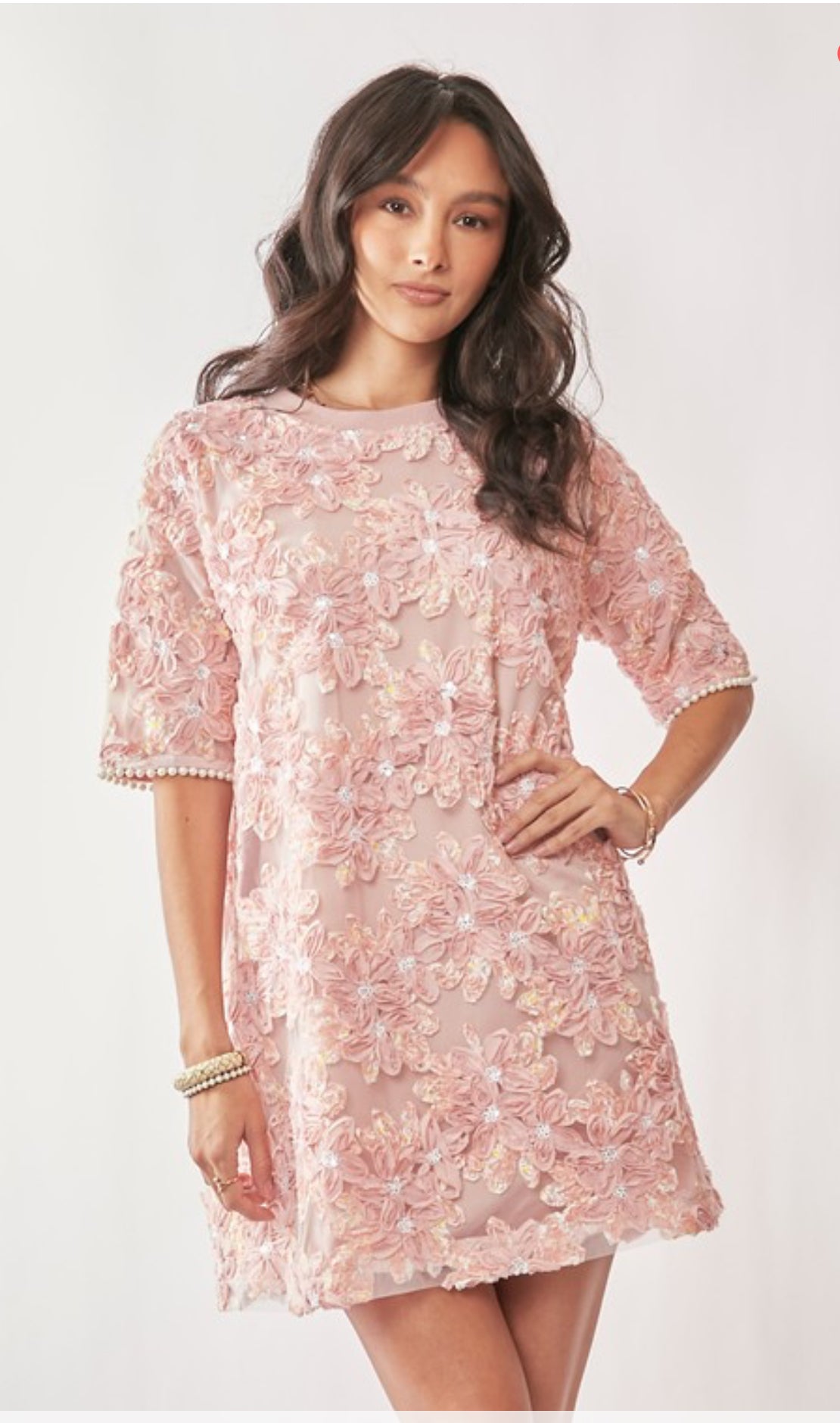 Floral Embroidery Sequined Mesh Mini Dress