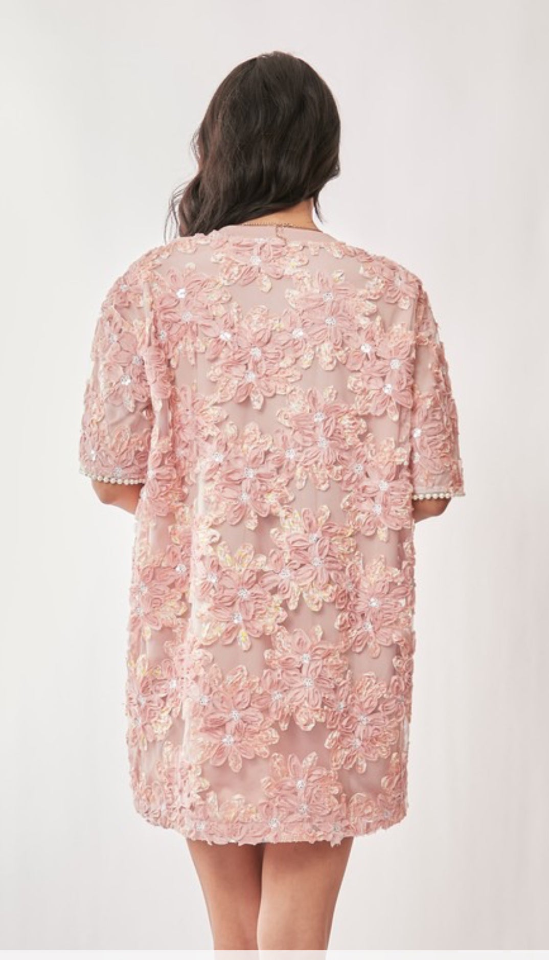 Floral Embroidery Sequined Mesh Mini Dress